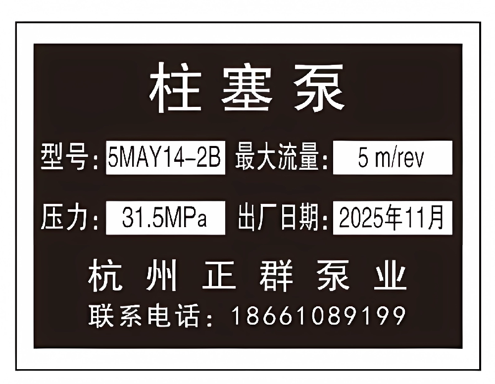 柱塞泵-5MAY14-2B-杭州正群